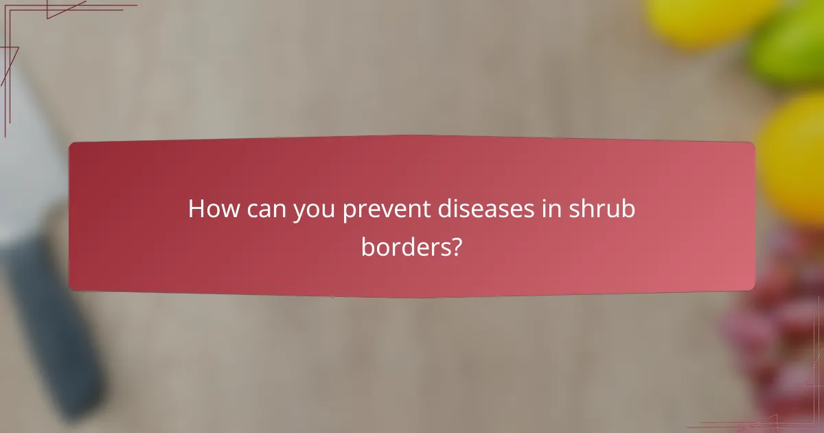 How can you prevent diseases in shrub borders?