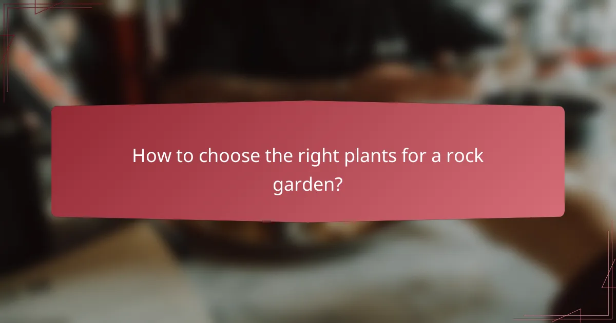 How to choose the right plants for a rock garden?