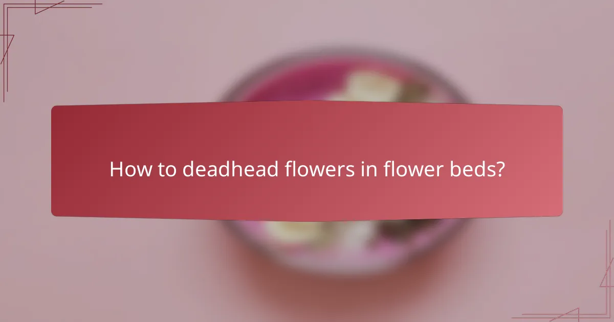 How to deadhead flowers in flower beds?