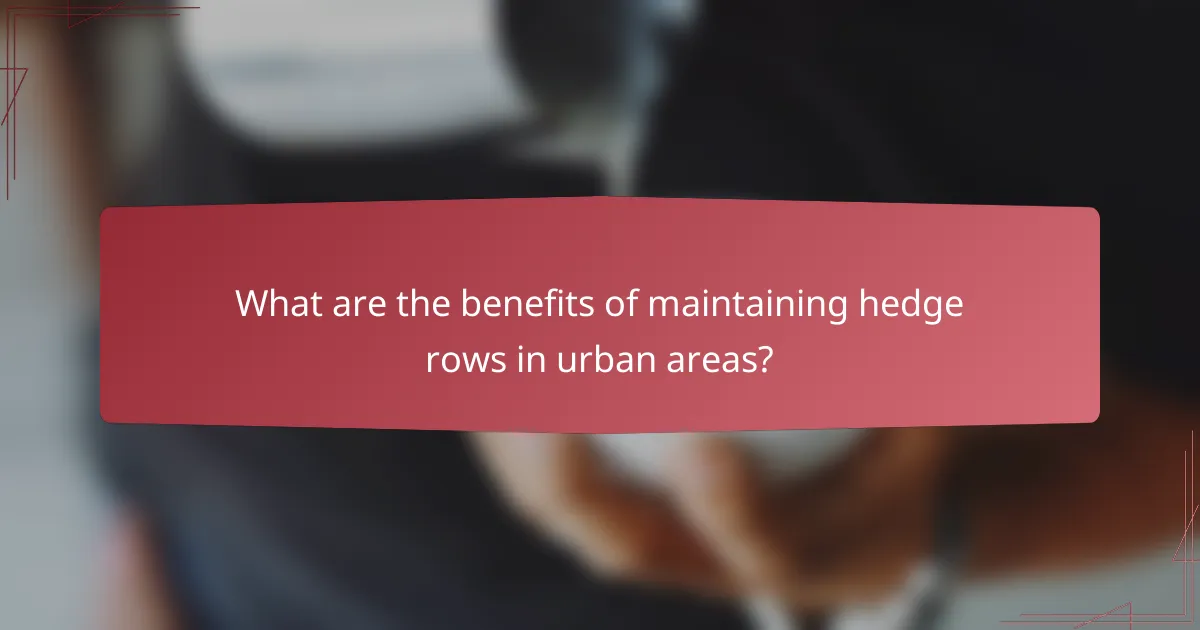 What are the benefits of maintaining hedge rows in urban areas?