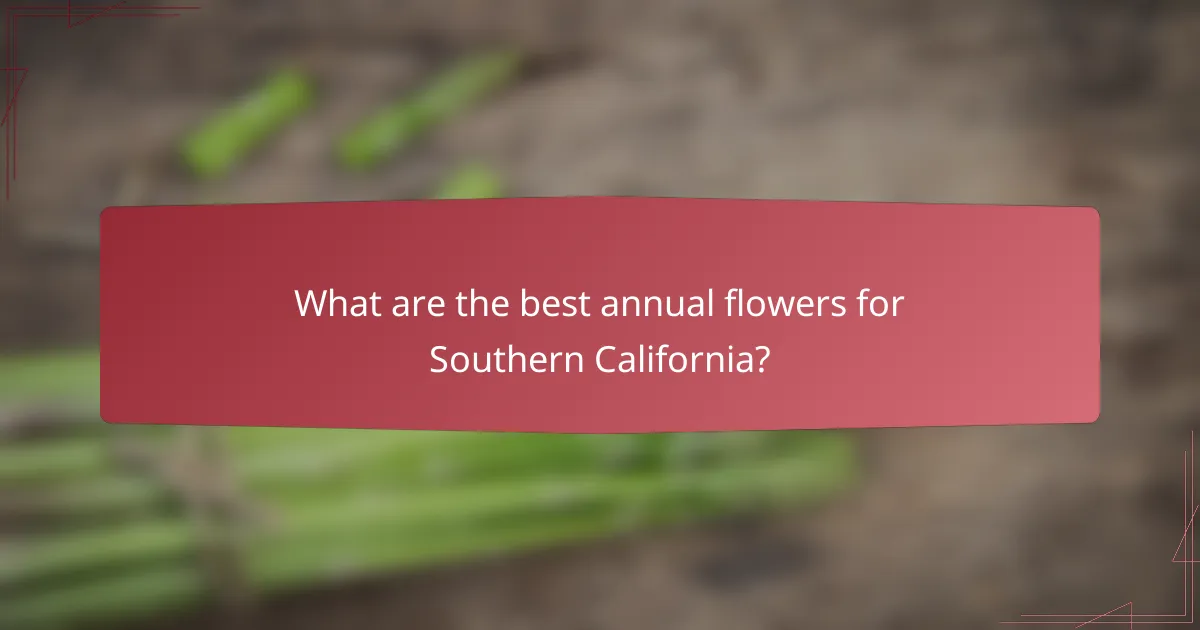 What are the best annual flowers for Southern California?