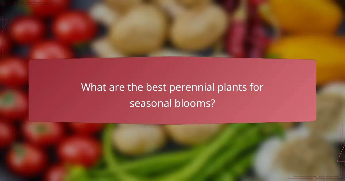 What are the best perennial plants for seasonal blooms?