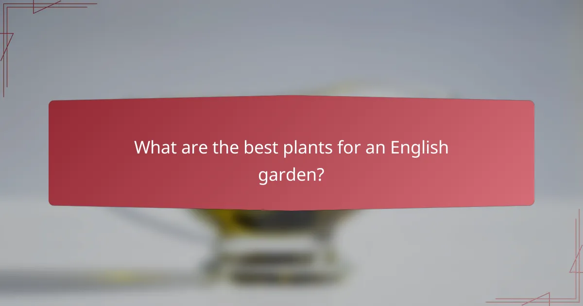 What are the best plants for an English garden?