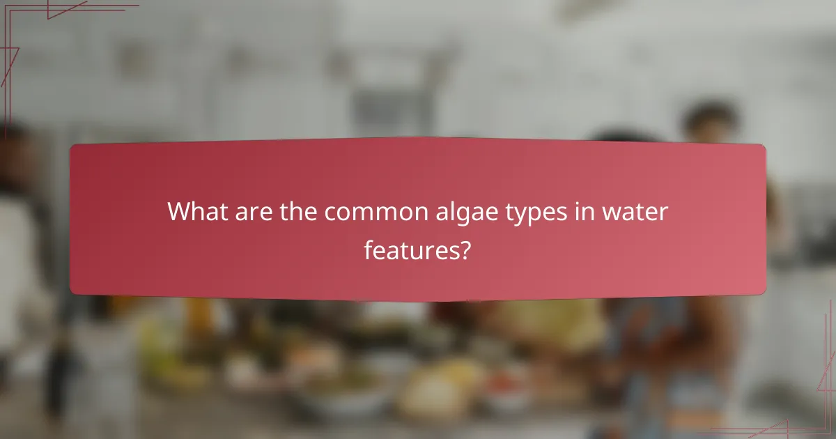 What are the common algae types in water features?