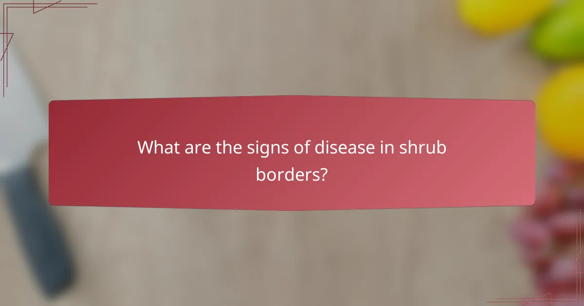 What are the signs of disease in shrub borders?