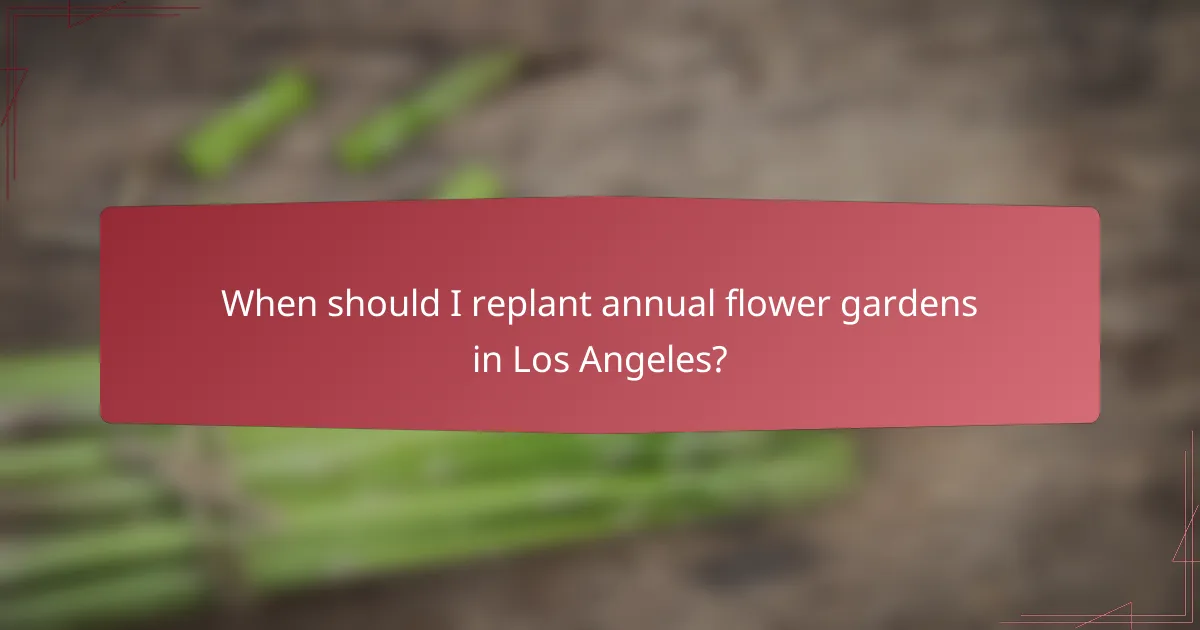 When should I replant annual flower gardens in Los Angeles?
